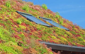 Riding Mill living roof systems